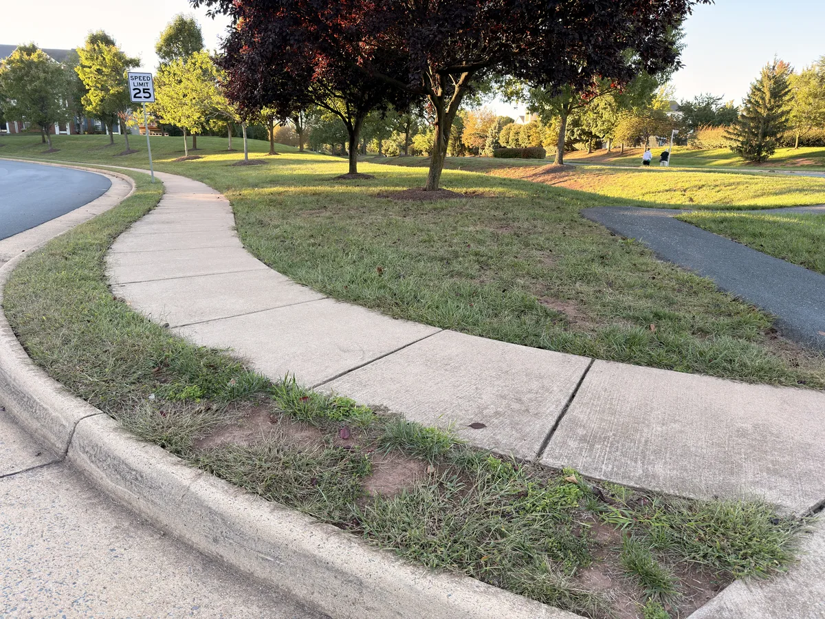 Patchy turf beside a sidewalk and path in Ashbrook